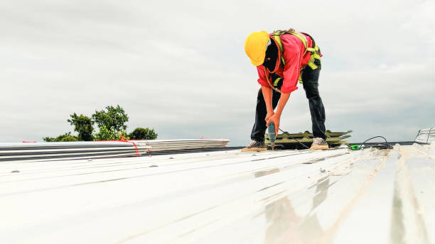 Best Gutter Installation and Repair  in Venus, TX