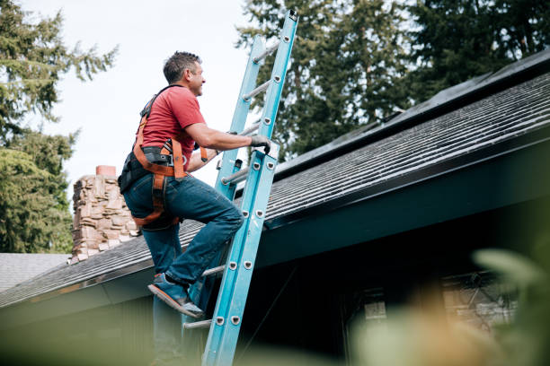 Best Roof Moss and Algae Removal  in Venus, TX