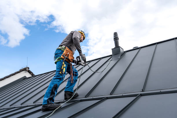 Best Skylights  in Venus, TX